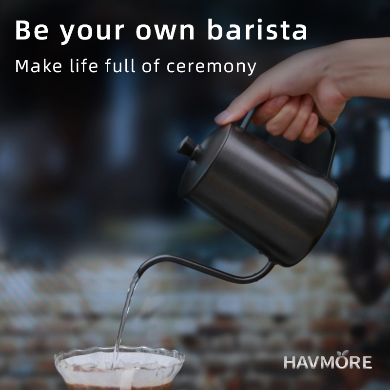 HAVMORE 304 Stainless Steel Te - огляд і ціна Coffee Tea Brew
